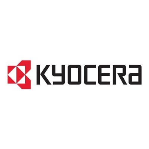 Kyocera Entwickler 302HN93032 DV560C Cyan ca. 200.000 Seiten